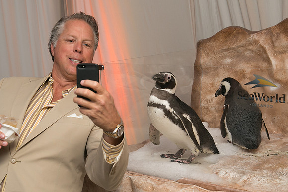 Corporate photos